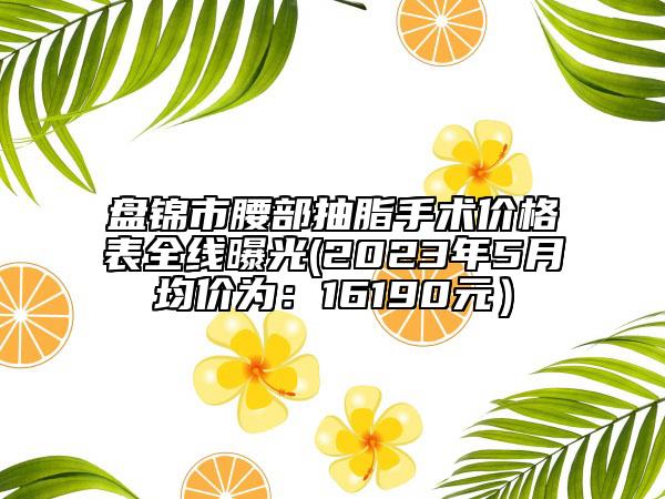 盘锦市腰部抽脂手术价格表全线曝光(2023年5月均价为：16190元）
