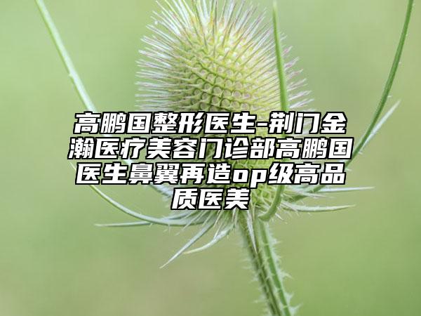 高鹏国整形医生-荆门金瀚医疗美容门诊部高鹏国医生鼻翼再造op级高品质医美