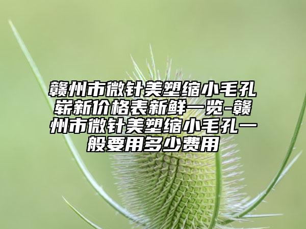 赣州市微针美塑缩小毛孔崭新价格表新鲜一览-赣州市微针美塑缩小毛孔一般要用多少费用