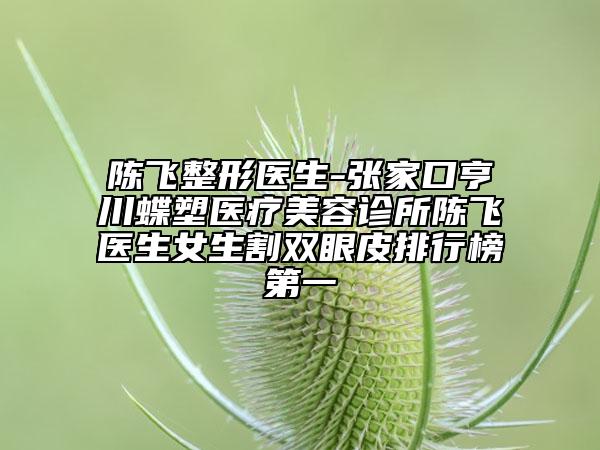 陈飞整形医生-张家口亨川蝶塑医疗美容诊所陈飞医生女生割双眼皮排行榜第一