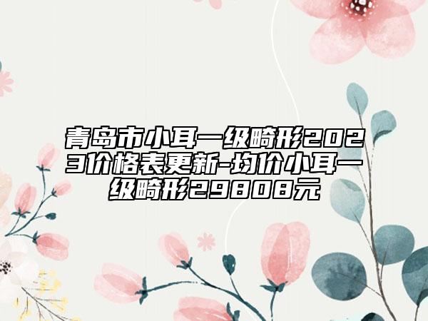 青岛市小耳一级畸形2023价格表更新-均价小耳一级畸形29808元