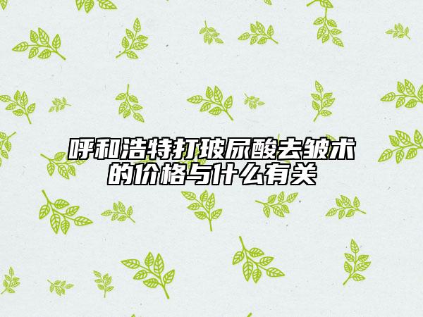 呼和浩特打玻尿酸去皱术的价格与什么有关