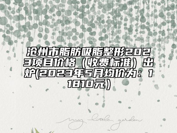 沧州市脂肪吸脂整形2023项目价格（收费标准）出炉(2023年5月均价为：11810元）