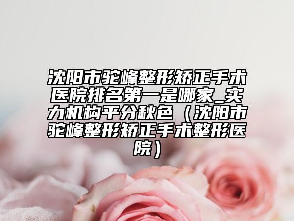 沈阳市驼峰整形矫正手术医院排名第一是哪家_实力机构平分秋色（沈阳市驼峰整形矫正手术整形医院）