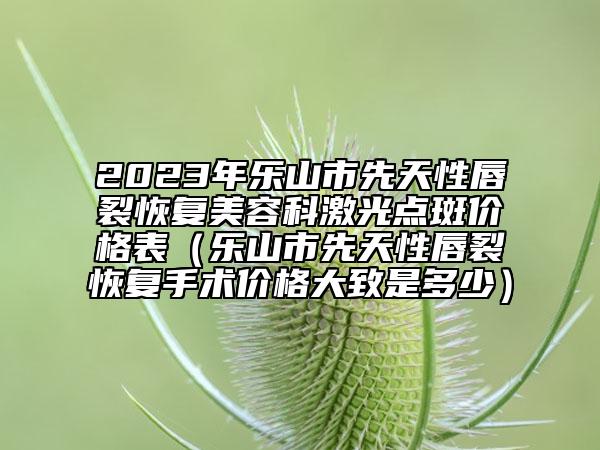 2023年乐山市先天性唇裂恢复美容科激光点斑价格表（乐山市先天性唇裂恢复手术价格大致是多少）