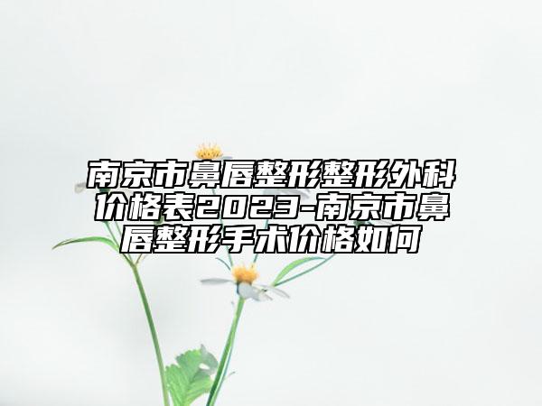 南京市鼻唇整形整形外科价格表2023-南京市鼻唇整形手术价格如何