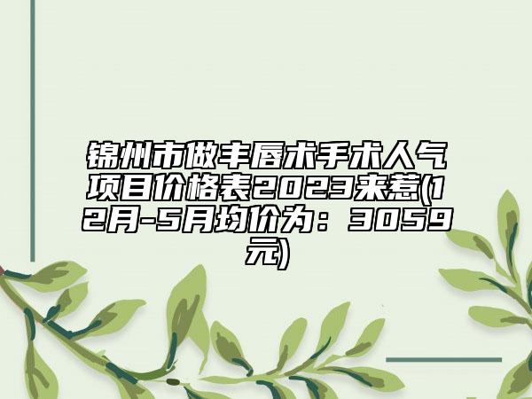 锦州市做丰唇术手术人气项目价格表2023来惹(12月-5月均价为：3059元)