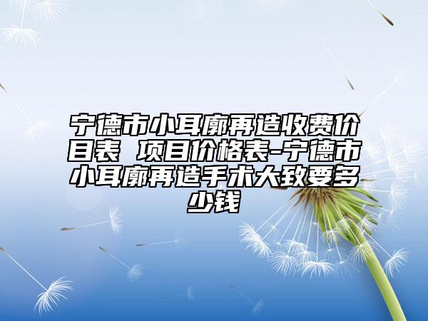 宁德市小耳廓再造收费价目表 项目价格表-宁德市小耳廓再造手术大致要多少钱