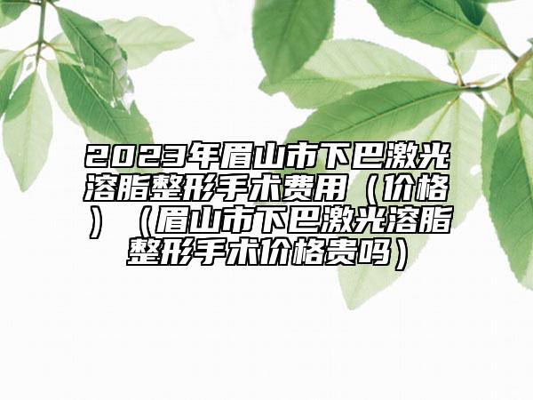 2023年眉山市下巴激光溶脂整形手术费用（价格）（眉山市下巴激光溶脂整形手术价格贵吗）