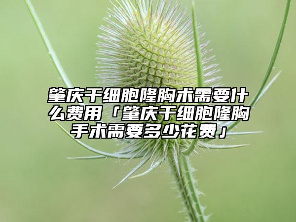 肇庆干细胞隆胸术需要什么费用「肇庆干细胞隆胸手术需要多少花费」