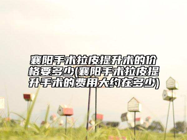 襄阳手术拉皮提升术的价格要多少(襄阳手术拉皮提升手术的费用大约在多少)