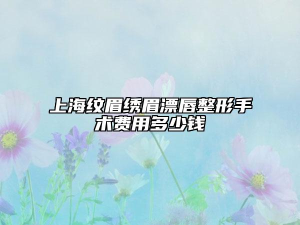 上海纹眉绣眉漂唇整形手术费用多少钱