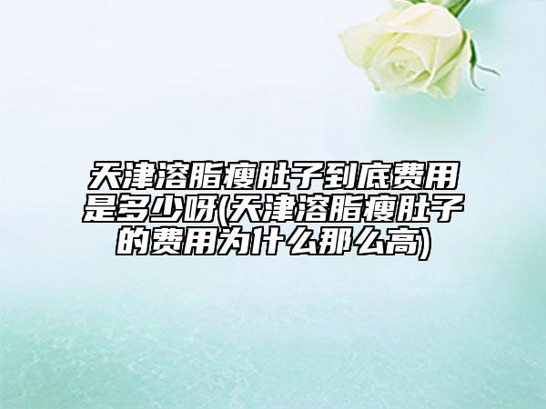 天津溶脂瘦肚子到底费用是多少呀(天津溶脂瘦肚子的费用为什么那么高)