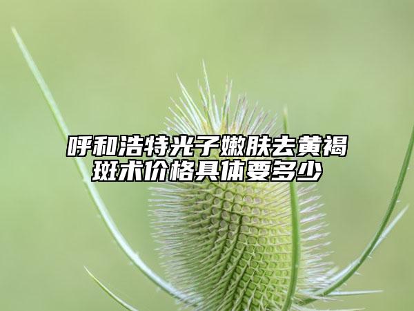 呼和浩特光子嫩肤去黄褐斑术价格具体要多少