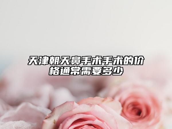 天津朝天鼻手术手术的价格通常需要多少