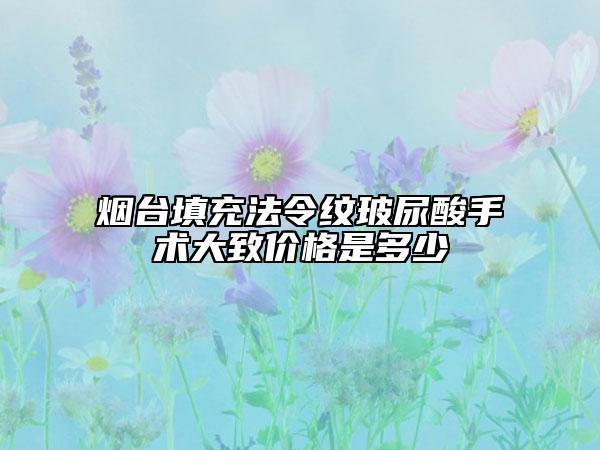 烟台填充法令纹玻尿酸手术大致价格是多少