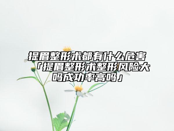 提眉整形术都有什么危害「提眉整形术整形风险大吗成功率高吗」