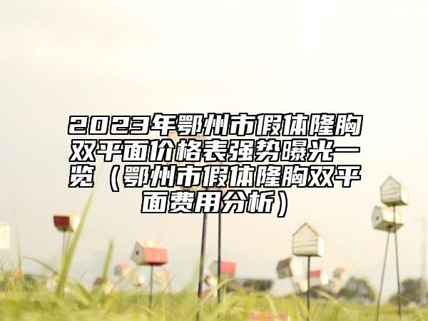2023年鄂州市假体隆胸双平面价格表强势曝光一览（鄂州市假体隆胸双平面费用分析）