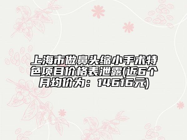 上海市做鼻头缩小手术特色项目价格表泄露(近6个月均价为：14616元)