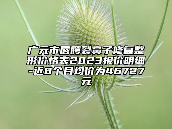 广元市唇腭裂鼻子修复整形价格表2023报价明细-近8个月均价为46727元