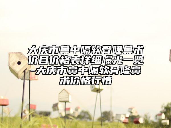 大庆市鼻中隔软骨隆鼻术价目价格表详细曝光一览-大庆市鼻中隔软骨隆鼻术价格行情