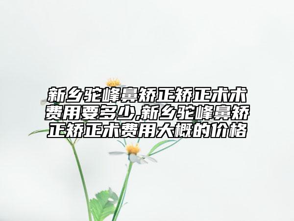 新乡驼峰鼻矫正矫正术术费用要多少,新乡驼峰鼻矫正矫正术费用大概的价格