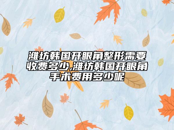潍坊韩国开眼角整形需要收费多少,潍坊韩国开眼角手术费用多少呢