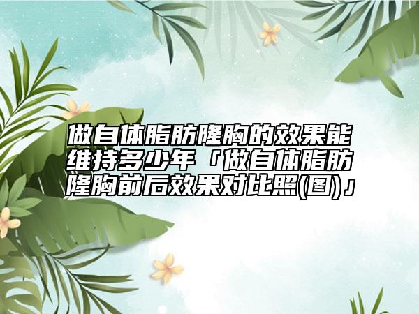 做自体脂肪隆胸的效果能维持多少年「做自体脂肪隆胸前后效果对比照(图)」