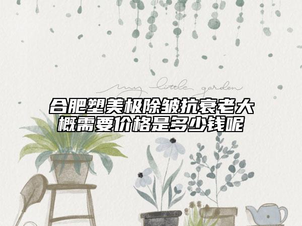 合肥塑美极除皱抗衰老大概需要价格是多少钱呢