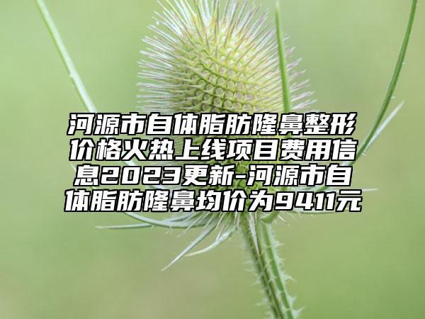 河源市自体脂肪隆鼻整形价格火热上线项目费用信息2023更新-河源市自体脂肪隆鼻均价为9411元