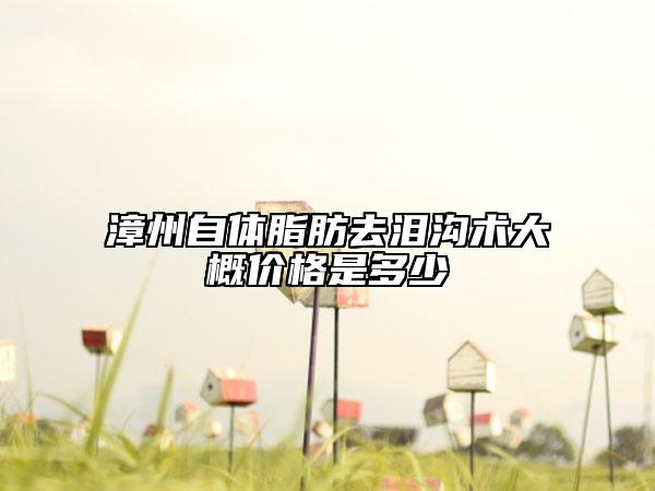 漳州自体脂肪去泪沟术大概价格是多少