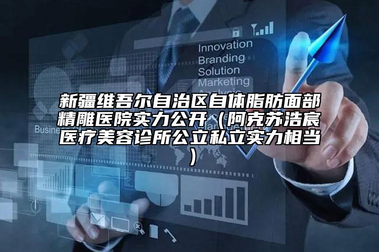 新疆维吾尔自治区自体脂肪面部精雕医院实力公开（阿克苏浩宸医疗美容诊所公立私立实力相当）