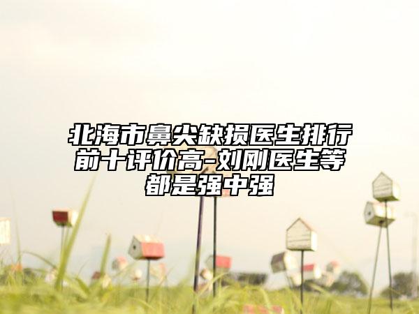 北海市鼻尖缺损医生排行前十评价高-刘刚医生等都是强中强
