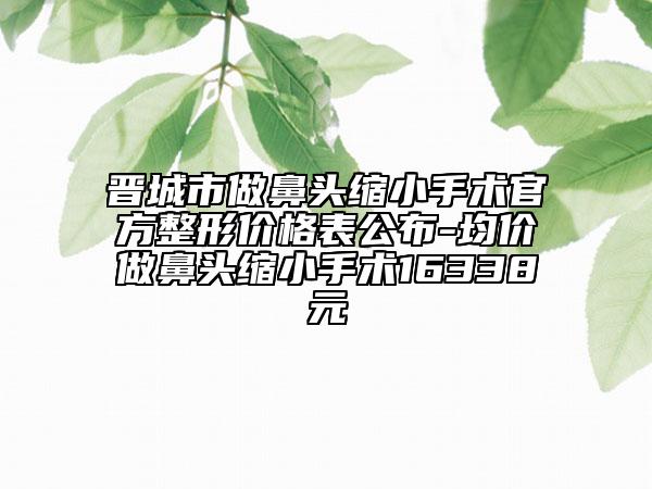 晋城市做鼻头缩小手术官方整形价格表公布-均价做鼻头缩小手术16338元