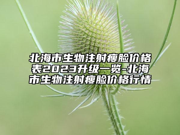 北海市生物注射瘦脸价格表2023升级一览-北海市生物注射瘦脸价格行情