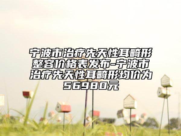 宁波市治疗先天性耳畸形整容价格表发布-宁波市治疗先天性耳畸形均价为56980元