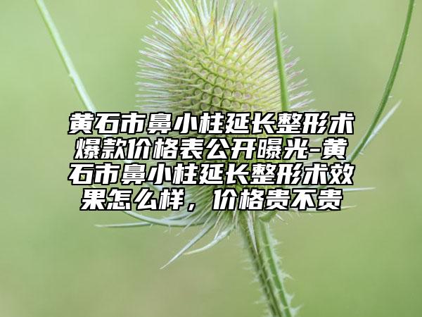 黄石市鼻小柱延长整形术爆款价格表公开曝光-黄石市鼻小柱延长整形术效果怎么样，价格贵不贵