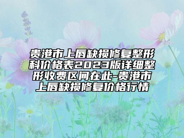 贵港市上唇缺损修复整形科价格表2023版详细整形收费区间在此-贵港市上唇缺损修复价格行情