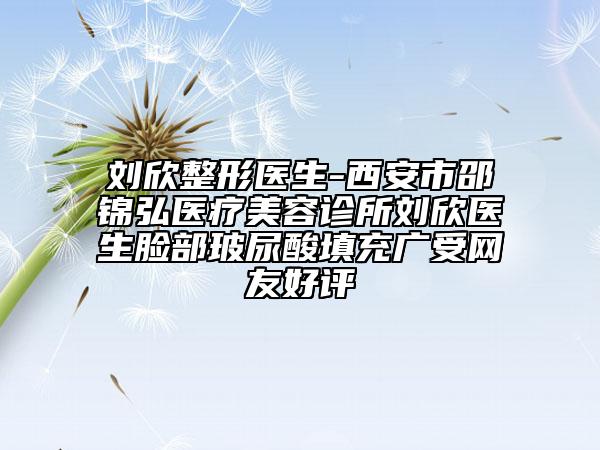 刘欣整形医生-西安市邵锦弘医疗美容诊所刘欣医生脸部玻尿酸填充广受网友好评