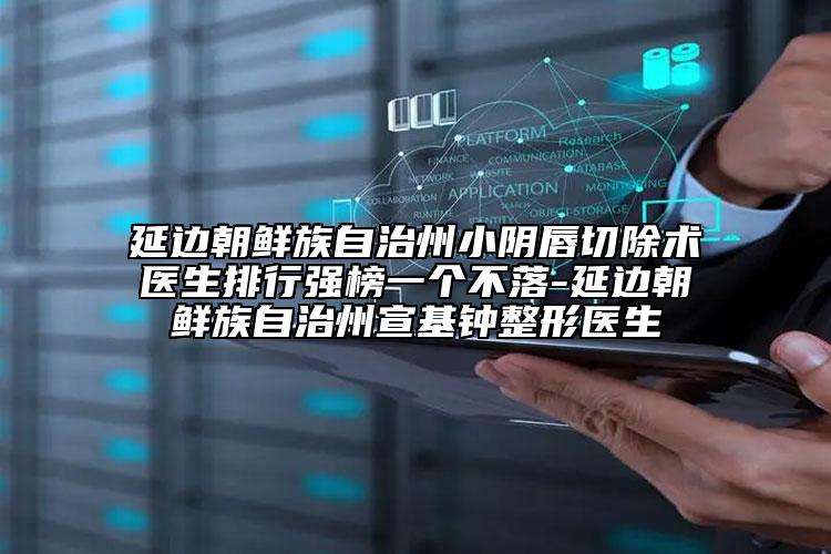 延边朝鲜族自治州小阴唇切除术医生排行强榜一个不落-延边朝鲜族自治州宣基钟整形医生