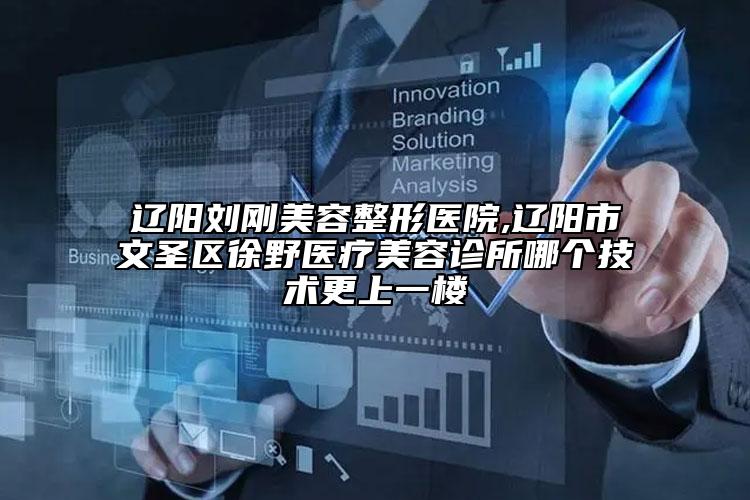 辽阳刘刚美容整形医院,辽阳市文圣区徐野医疗美容诊所哪个技术更上一楼