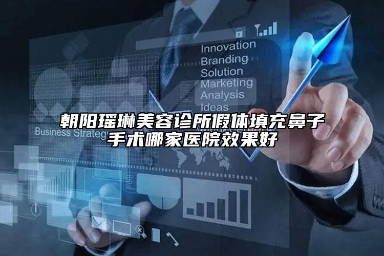 朝阳瑶琳美容诊所假体填充鼻子手术哪家医院效果好