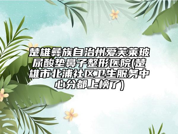 楚雄彝族自治州爱芙莱玻尿酸垫鼻子整形医院(楚雄市北浦社区卫生服务中心分都上榜了)