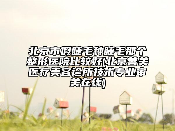 北京市假睫毛种睫毛那个整形医院比较好(北京善美医疗美容诊所技术专业审美在线)