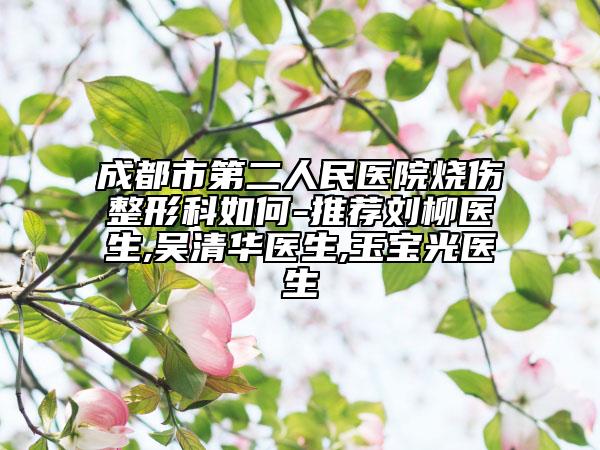 成都市第二人民医院烧伤整形科如何-推荐刘柳医生,吴清华医生,玉宝光医生