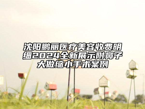 沈阳鹏丽医疗美容收费明细2024全新展示附鼻子大做缩小手术案例
