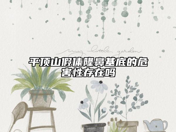 平顶山假体隆鼻基底的危害性存在吗