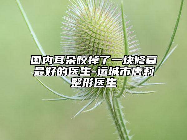 国内耳朵咬掉了一块修复最好的医生-运城市唐莉整形医生