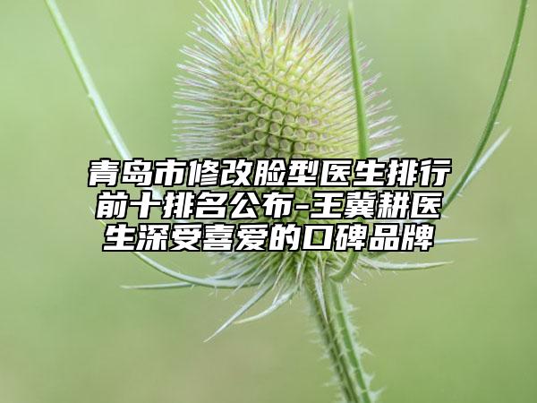 青岛市修改脸型医生排行前十排名公布-王冀耕医生深受喜爱的口碑品牌