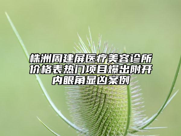 株洲周建屏医疗美容诊所价格表热门项目爆出附开内眼角显凶案例